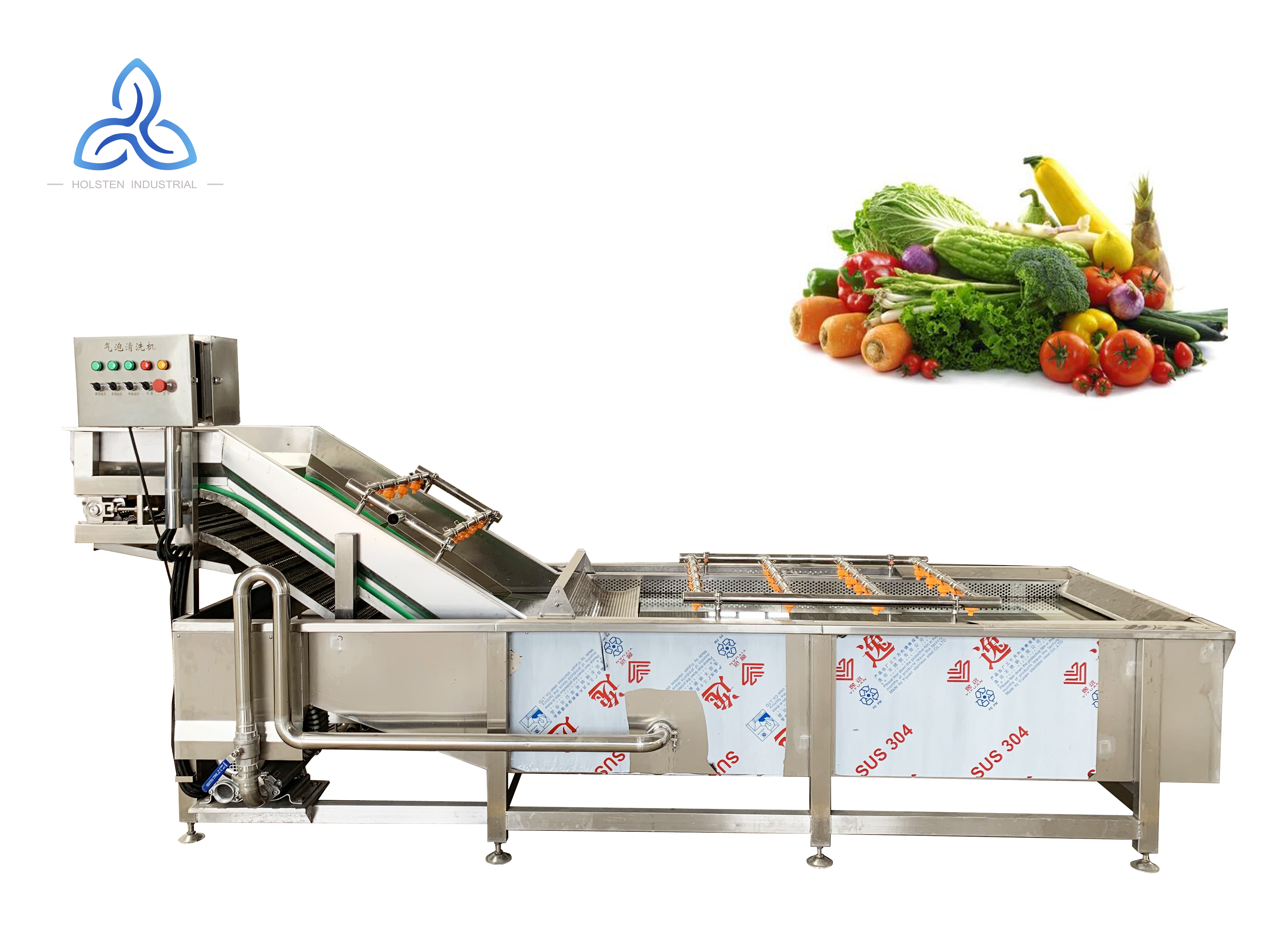 Bubble Tomato Washing Line / Fruit Washer Electric Cleaning Vegetable