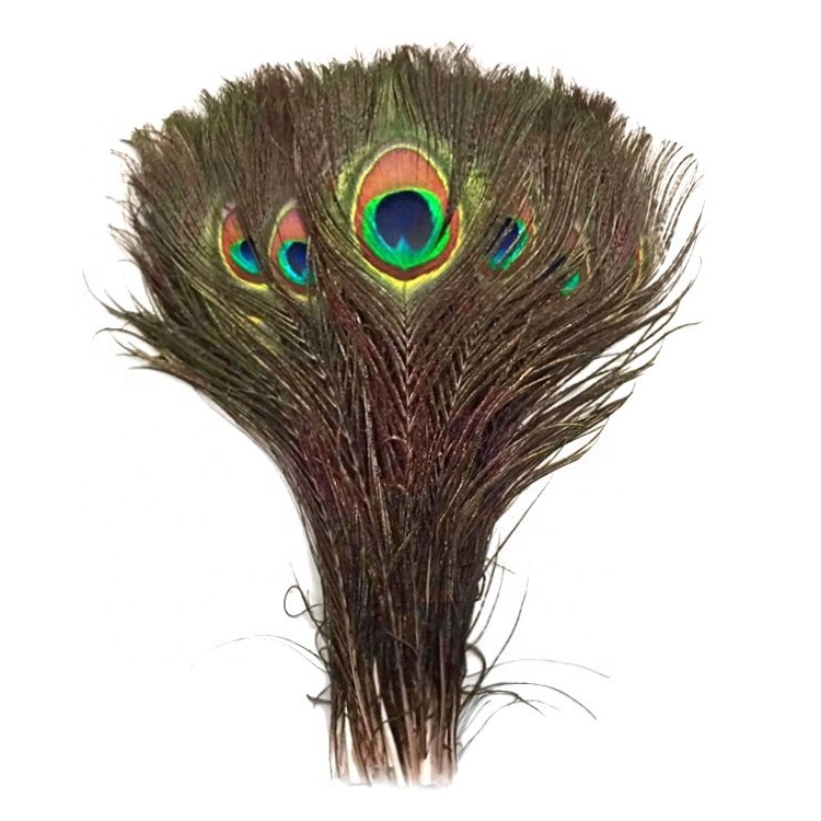 Wholesales Cheap Beautiful Natural Or Dyed Peacock Feather For Sale cheaper