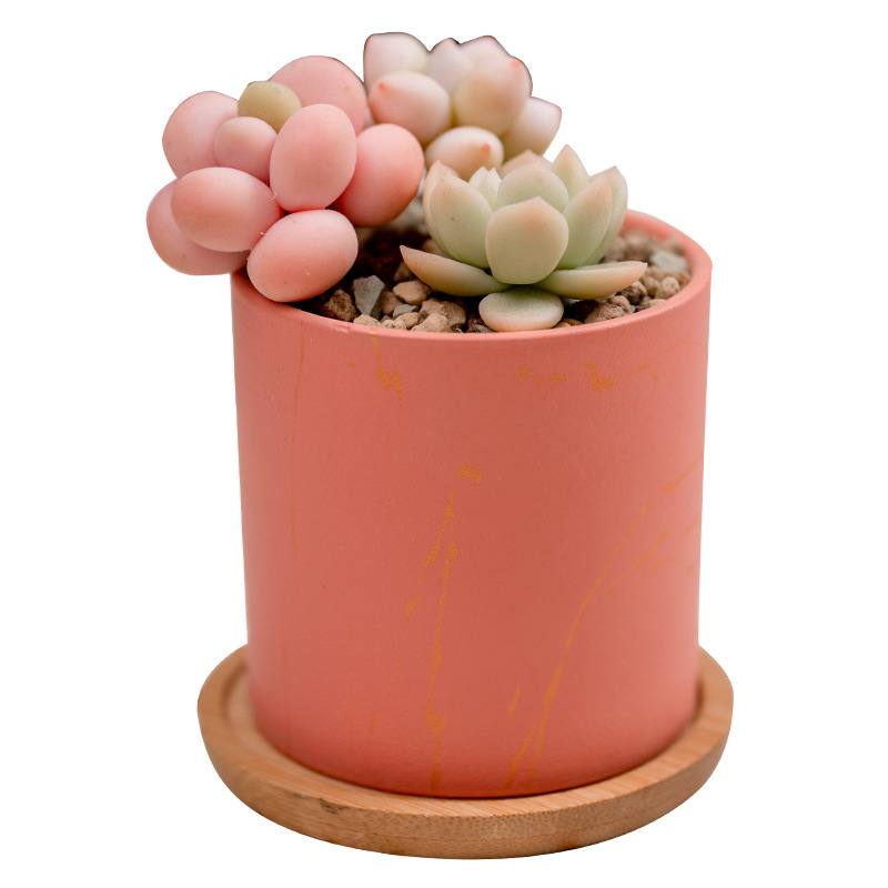 Wholesale Simple Color Ceramic Succulent Flower Pot Home