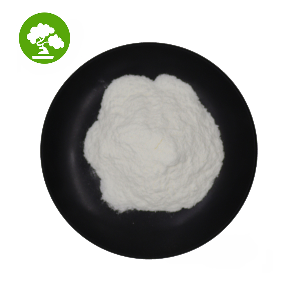 Высококачественная пищевая добавка Lactobacillus Casei Lactobacillus Rhamnosus