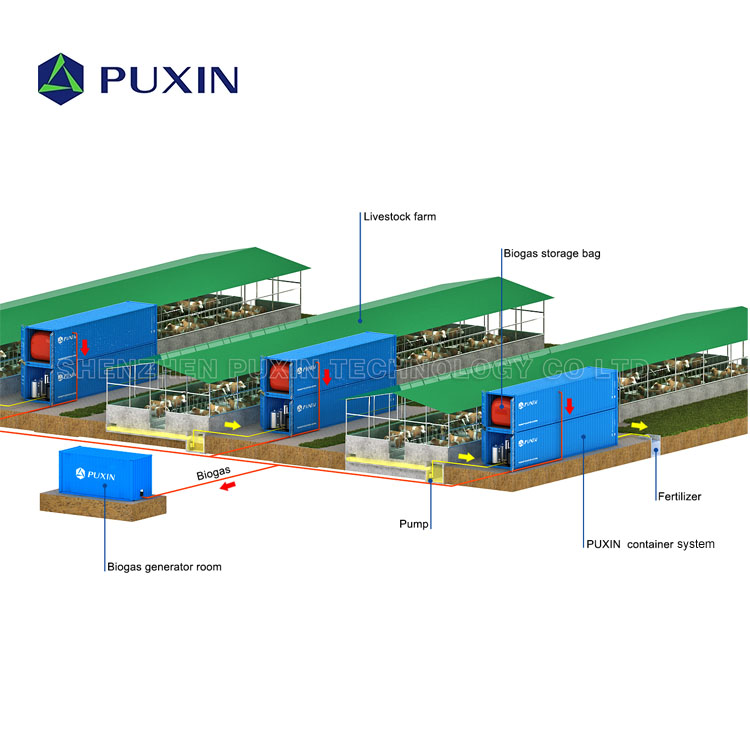 PUXIN 20FT Средний размер полная Биогазовая система для получения биогаза электричества и удобрений от помета
