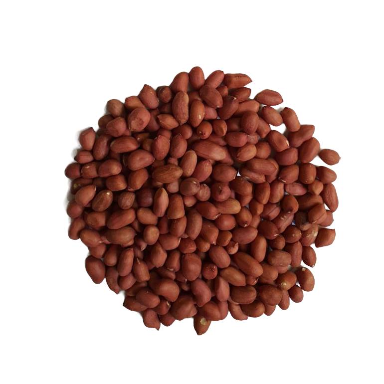 Uzbekistan high nutritious raw peanut kernels in various packaging from manufacturer wholesale price