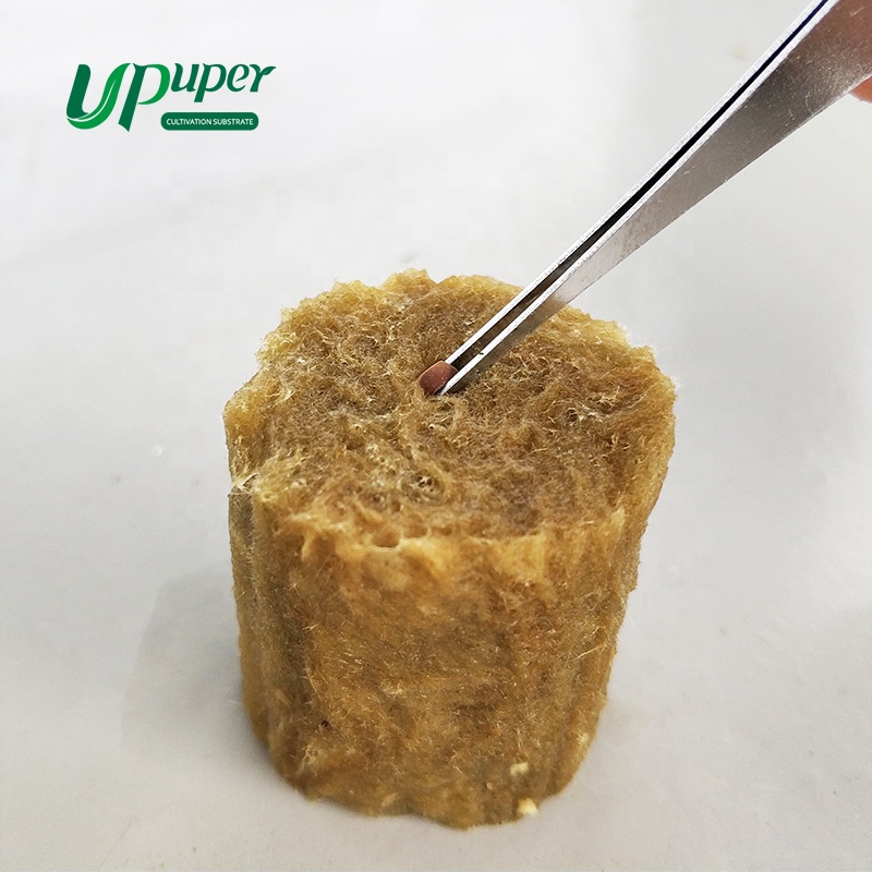 UPuper agriculture Plug stone wool hydroponic 0.8x1 inch for hydroponic growing systems or Other Greenhouses
