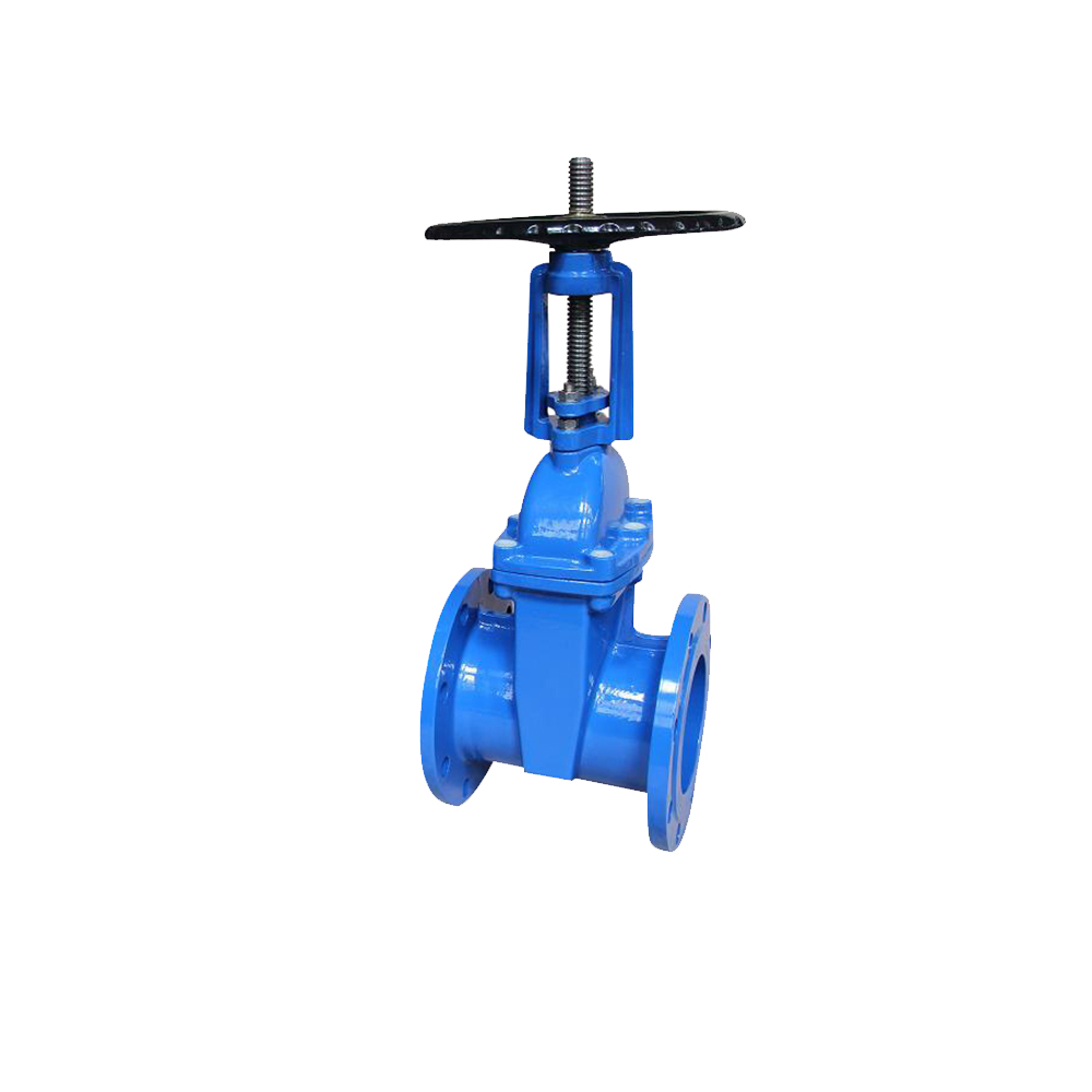 Surface Treatment Akzo Nobel Fusion Bonded ANSI Standard resilient gate valve