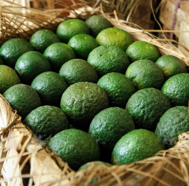 Быстрая доставка, новое культивирование, натуральная Сладкая зеленая кожа, сочный свежий апельсин от производителя из Вьетнама