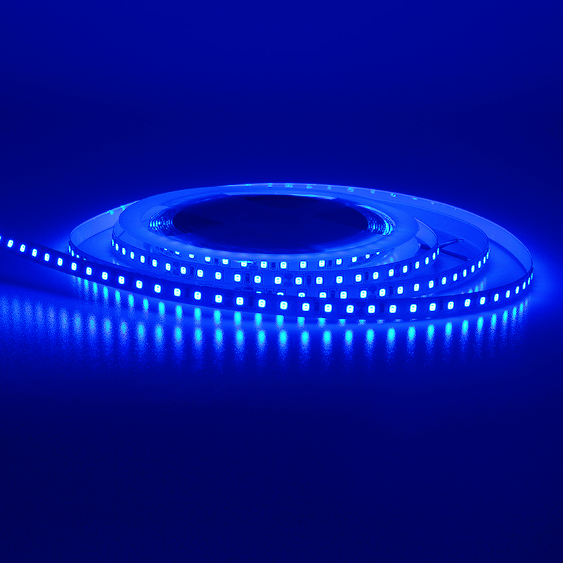 Wholesales good quality led light strip 2835-12v120D8MM Blue light Landscape advertising rgb strip lights