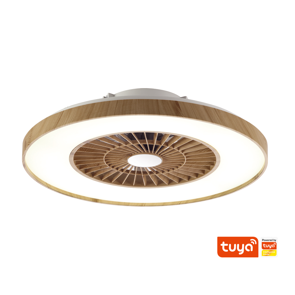 China Professional Manufacture Smart LED Ceiling Fan Starlight Cover With Light
