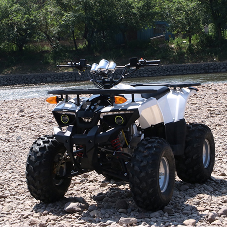 Небольшой MOQ 125CC 12V цепной привод водонепроницаемый ATV fashion-4-тактный прочный квадроцикл ATV для взрослых