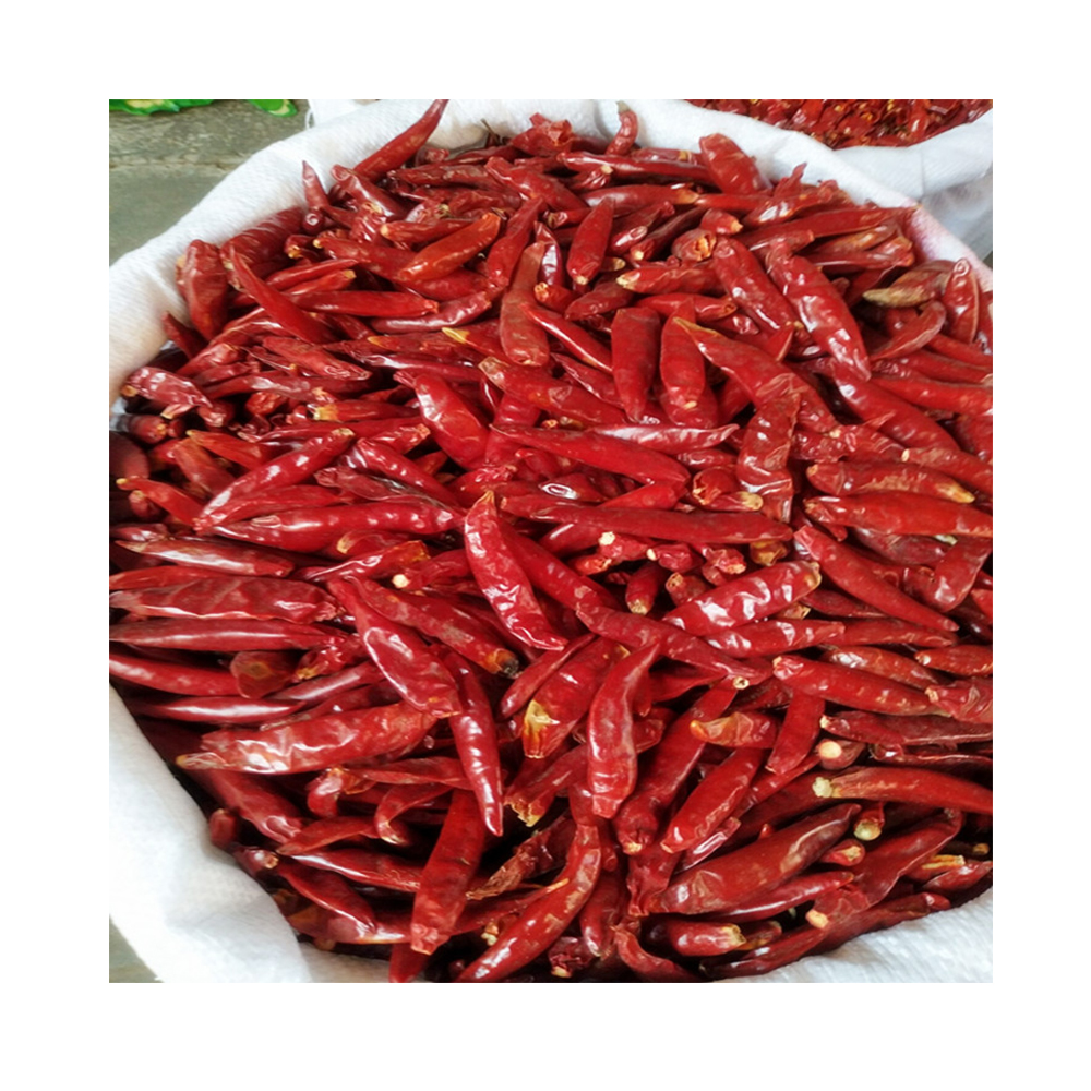Wholesale High Quality Cheap Price Natural Dried Red Chili For Cooking In Bulk For Exports
