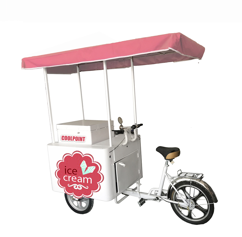 ice cream tricycle with 208L DC solar freezer commercial solar panel battery digital controller