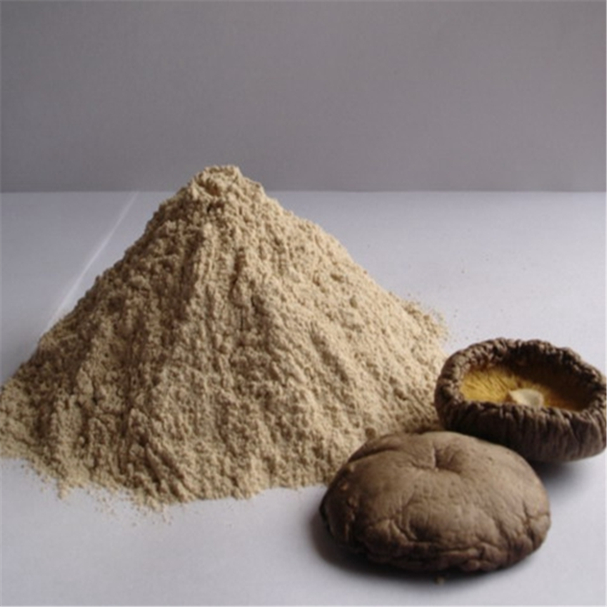 Retro Material Type Complete Aid Digestion Mixed Extract Mushroom Powder For Food Nutrition