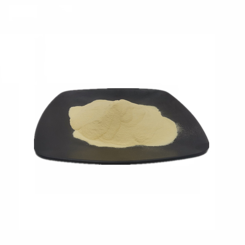 Manufacturer Supply High Quality Yeast Extract Powder