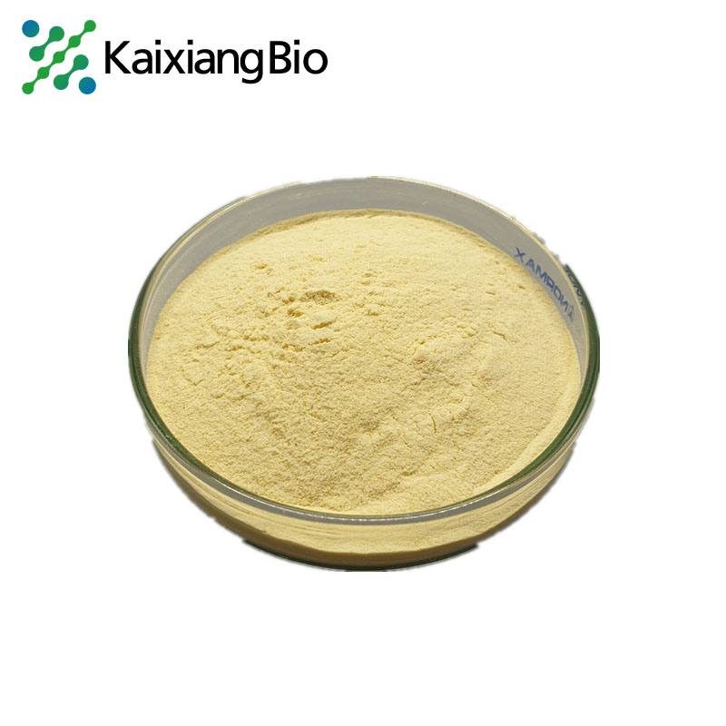 Pure Natural Apitoxin Powder Bee Venom Extract Best Price for Sale
