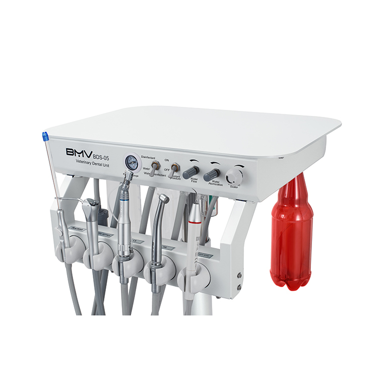 Veterinary Dentistry Equipment Professional Pet Dental Tools for Teeth Cleaning, Whitening, Scaling & Oral Care