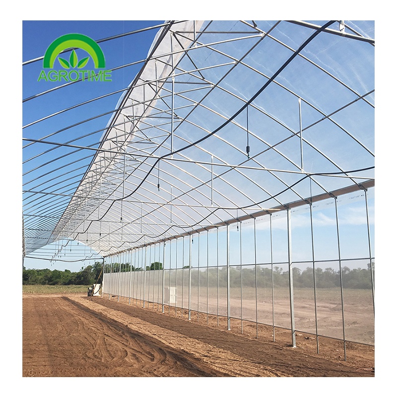 strong multi sapn greenhouse hot sale greenhouse fixed roof window greenhouse