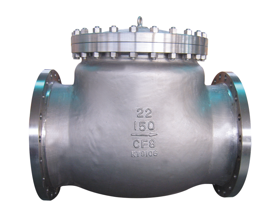 CAST STEEL CHECK VALVE