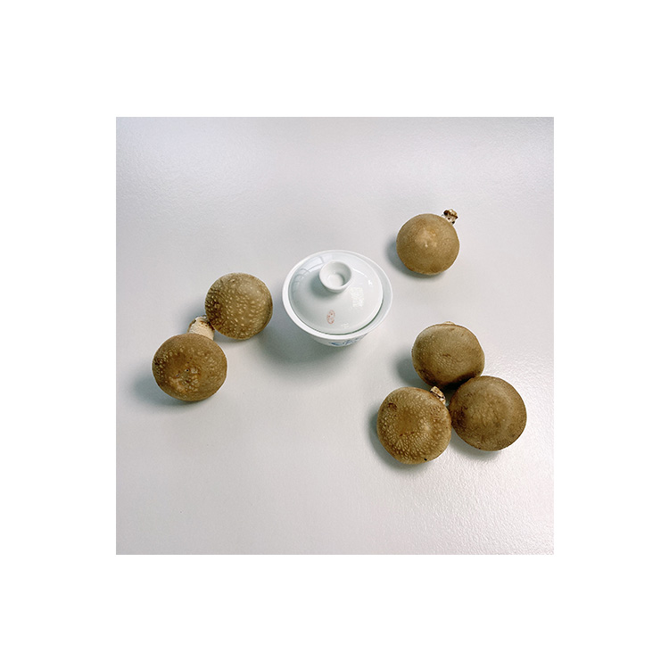 Hot Sale Light Tawny Round Umbrella-shaped Fresh Mushroom Price