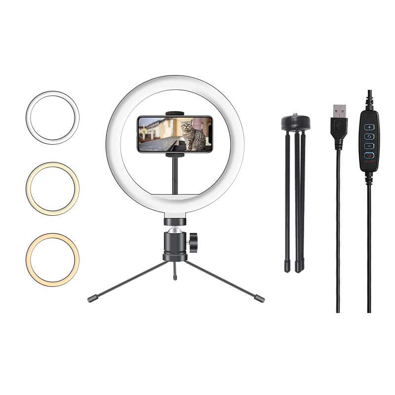 Оптовая продажа 10 дюймов DS1 современный круг перезаряжаемый ringlight фотография светодиодный свет с подставкой