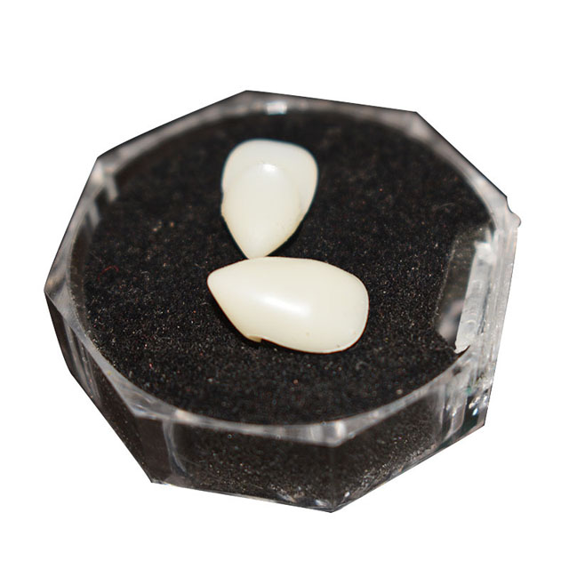 Halloween dentures vampire dentures zombie teeth small tiger teeth cosplay costume party props