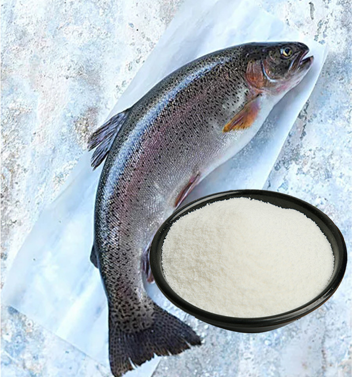 High Quality CAS NO 9064-67-9 Water Soluble Hgdrolized Fish Collagen Powder