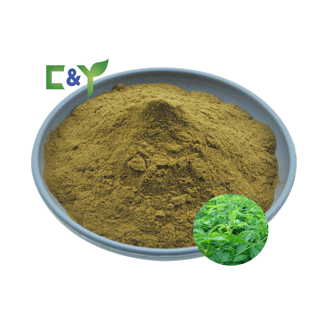 HOT Selling Bulk Pure Natura gynostemma plant extract jiaogulan gynostemma pentaphyllum gynostemma extract