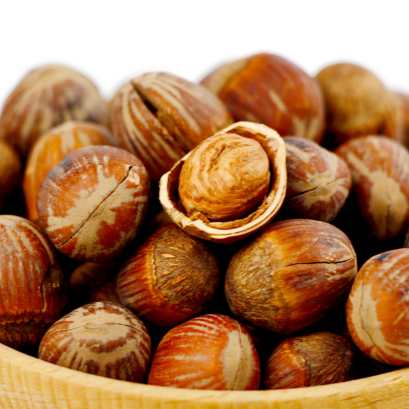 Suppliers Roasted Hazelnut Kernels Top Quality wild Hazelnuts