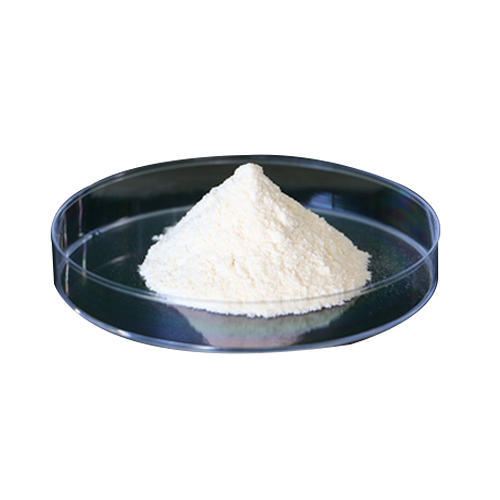 High Quality Powder Probiotics Bifidobacterium Infantis