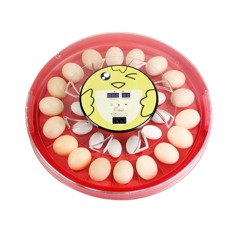 Недорогой куриный яичный инкубатор HHD smile S30 с бесплатным чайником в подарок