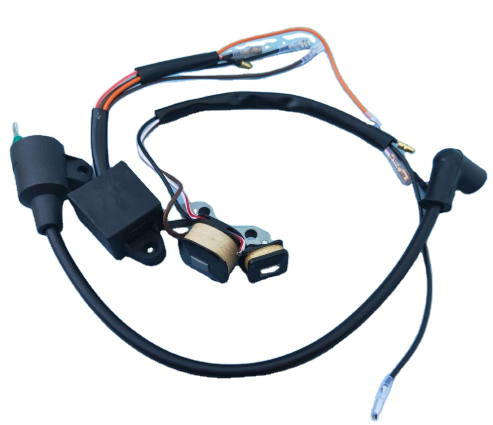 Катушка зажигания ET950 IE45 TG950 ET650 450 Вт 650 Вт 800 Вт 950 Вт 1000 Вт 3 шт./компл. с магнитным зажиганием Катушка зажигания для генератора TIGER
