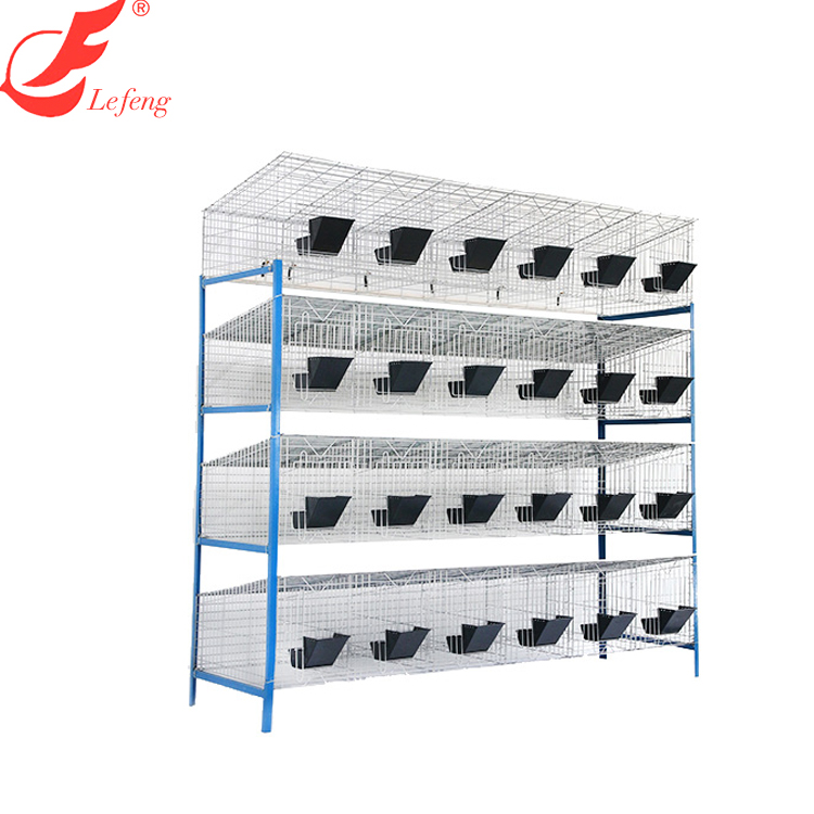 H type commercial breeding rabbit cages