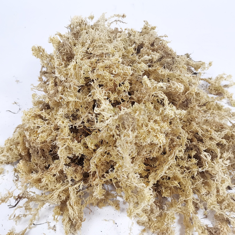 Сушеный садовый мох Sphagnum для выращивания цветов и суккулентов, увлажняющее питательное органическое удобрение