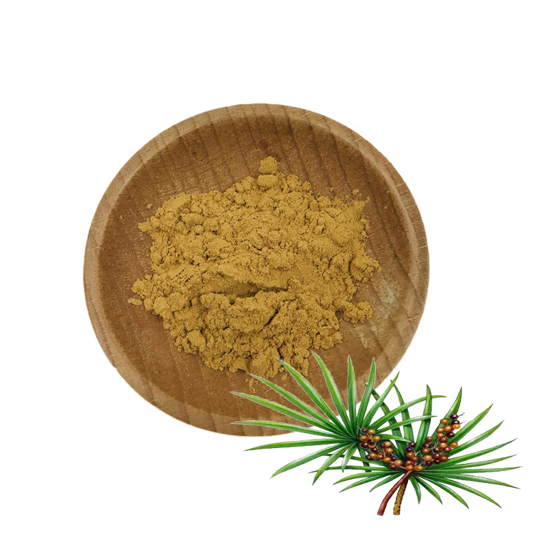 High Quality Natural Saw Palmetto Extract Saw Palmetto Capsules