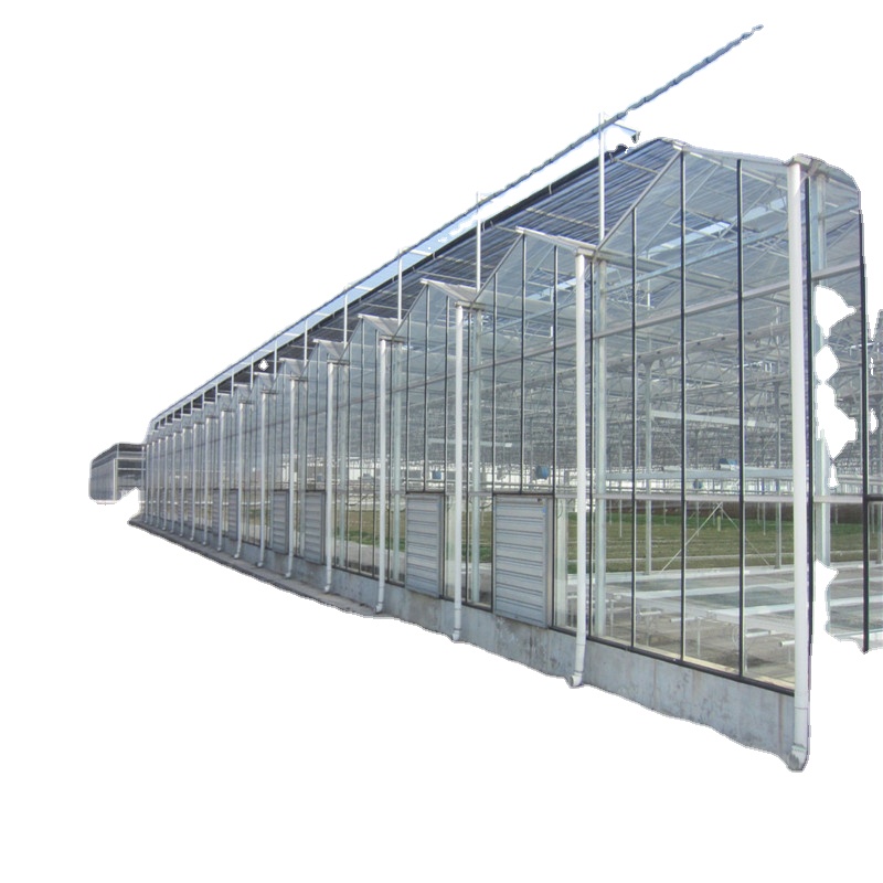 Chinese Multi Span Green House Plastic Multi Span Greenhouse