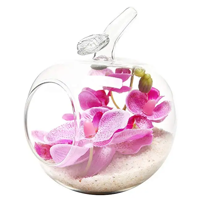 Apple Shape Terrarium for Tiny Succulent Plant and Small Stone Clear Glass Vase for Displaying on Table or Hanging by Rope