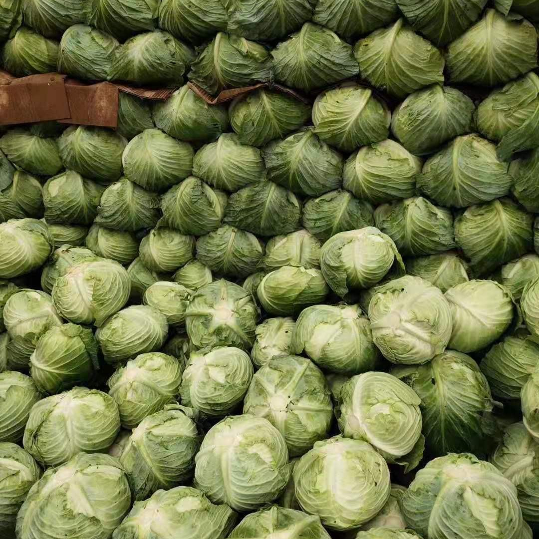 Продажа свежей гуавы