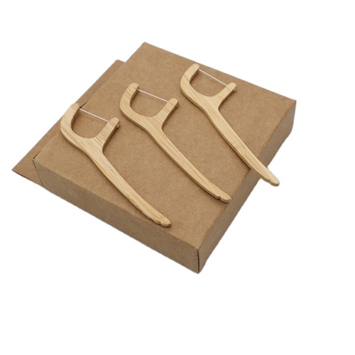 Eco-friendly Bamboo Charcoal Teeth Picks Dental Floss Biodegradable Handle Dental Floss Pick