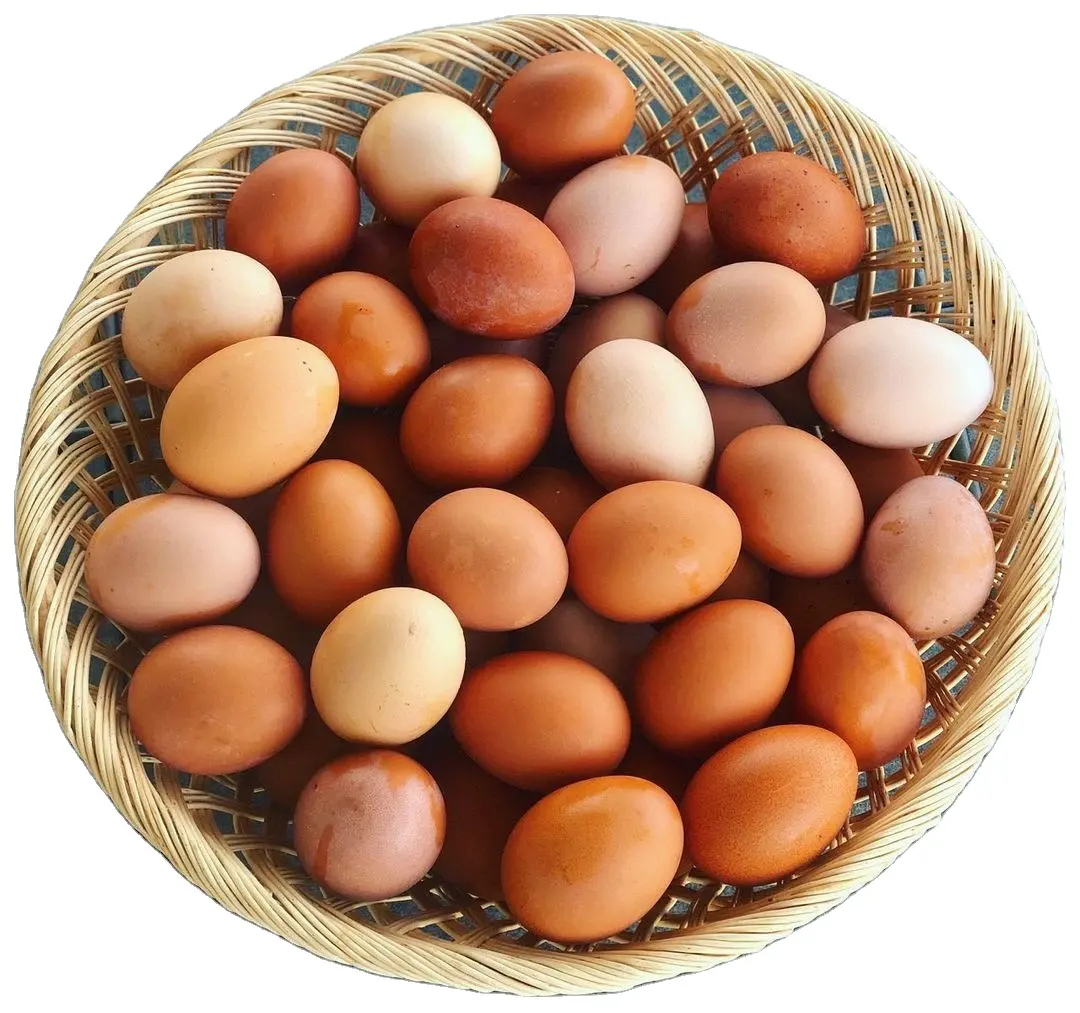 Quality 100% Fresh Table Brown eggs/ White Chicken Eggs for sale