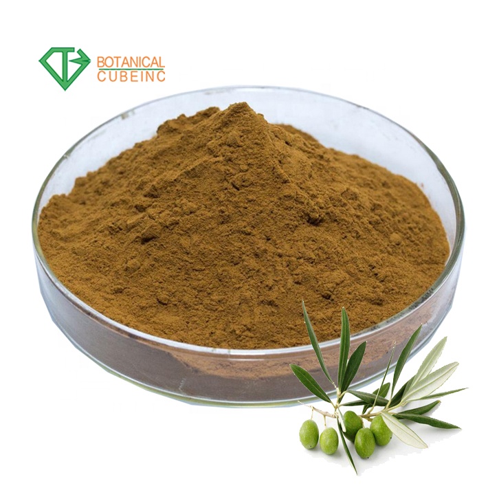 Hydroxytyrosol жидкий экстракт купить hydroxytyrosol 5%-98% Экстракт оливкового листа hydroxytyrosol