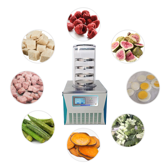 mini home freeze dryer coffee freeze dryer machine vacuum small freeze dryer