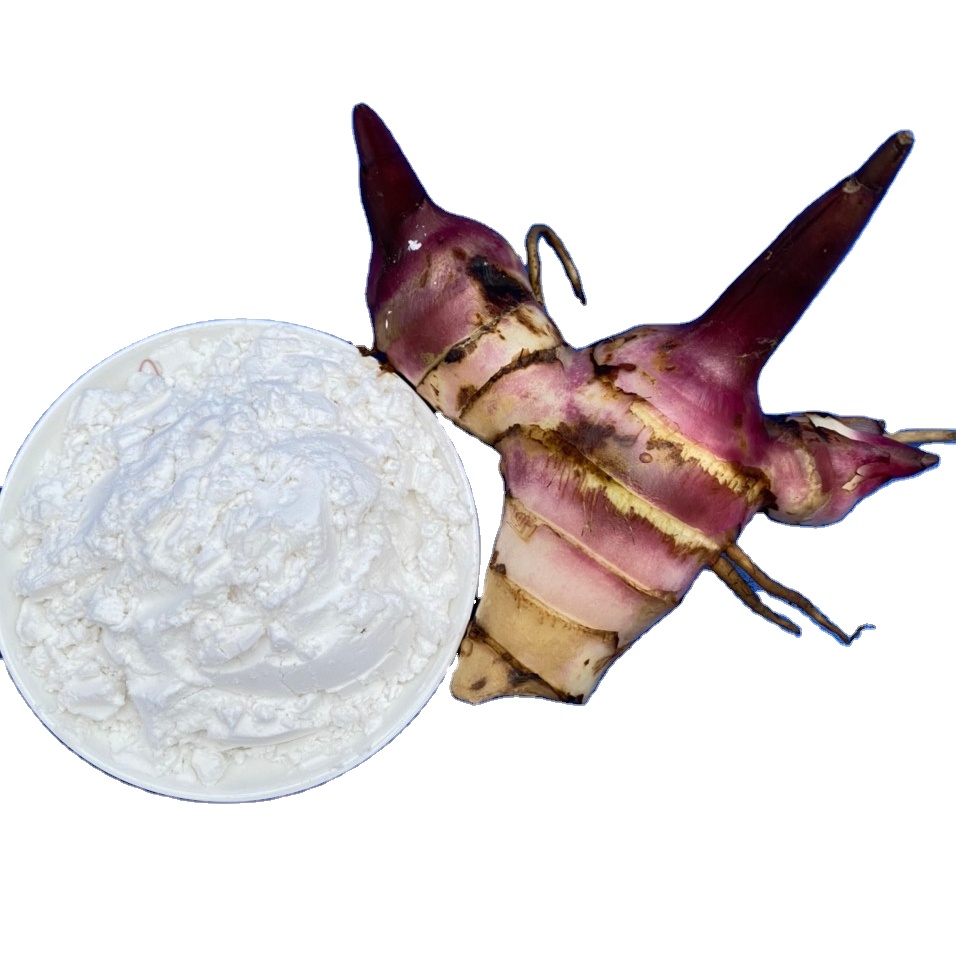 Competitive Price Natural Arrowroot Starch made in Viet Nam