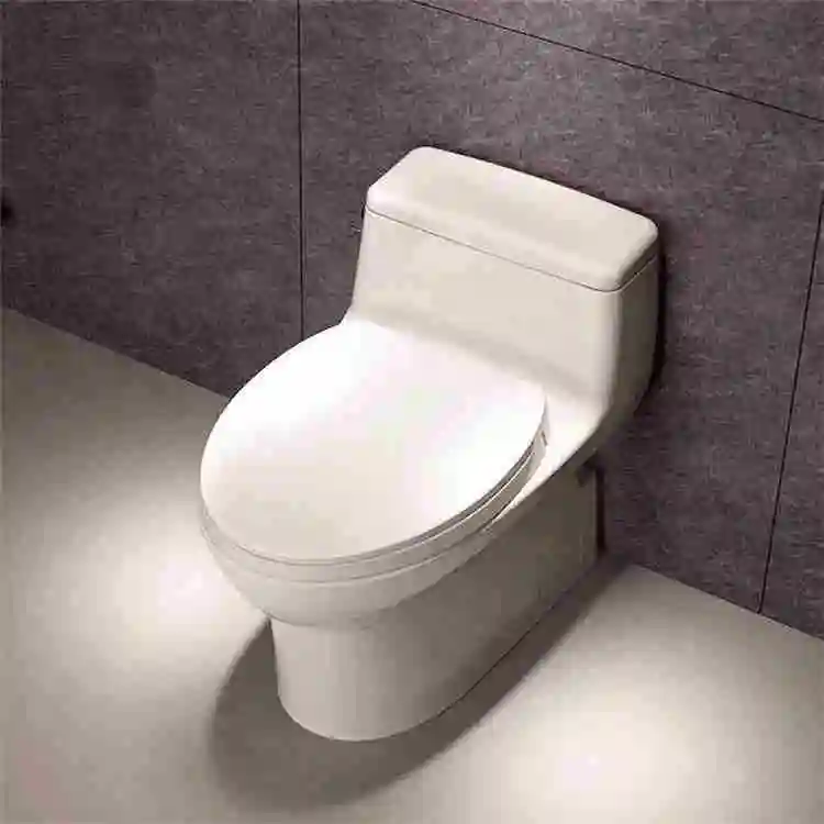 2019 cheapest water closet (wc)