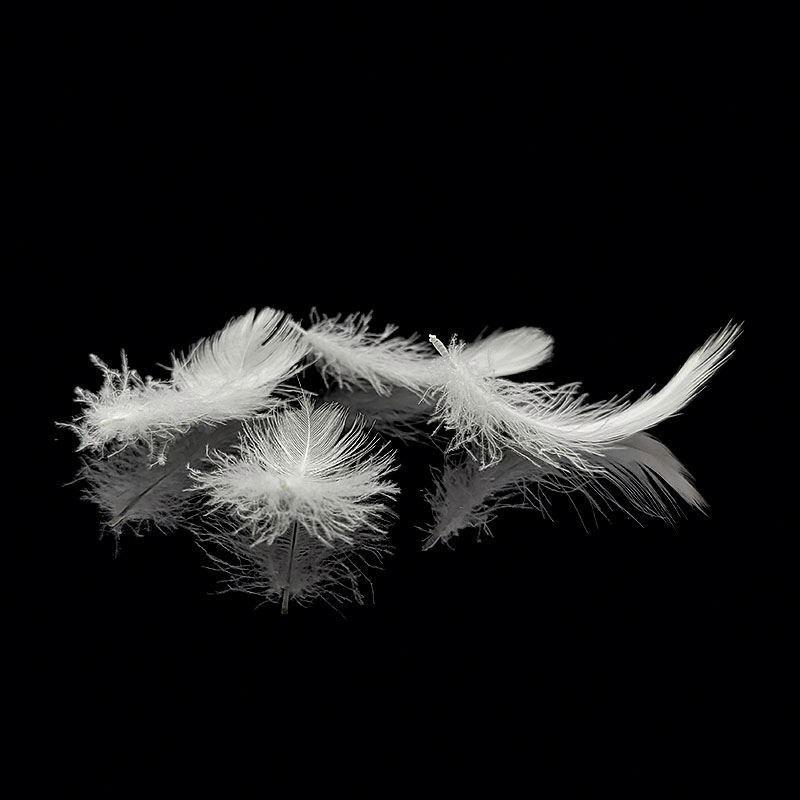 Goose Feather With Good Quality Soft Washed Goose Feather For Pillow Cushion Stuffing
