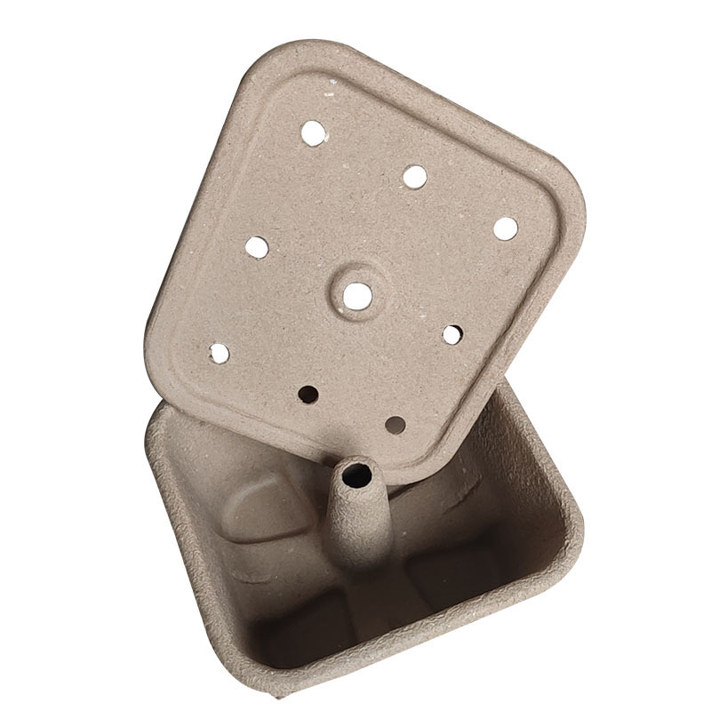 molded pulp packaging Custom Eco-Friendly Print Molded Pulp Packaging Solution Bagasse Box packages of barbecue charcoal