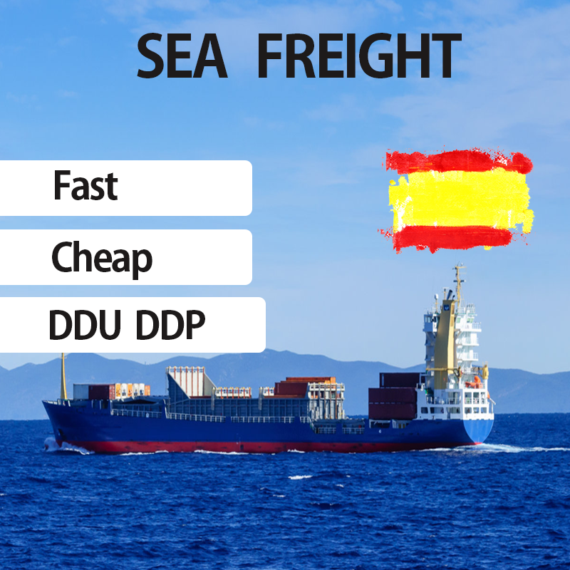 Customs Clearance Service Sea shipping forwarder from china Import to germany