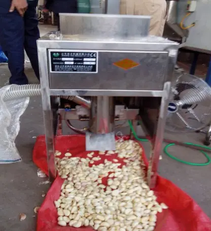 Manual garlic peeling machine