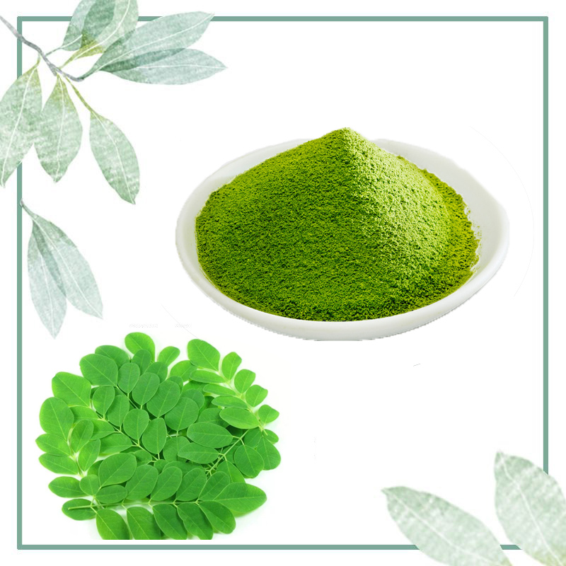 100% Pure Nature Moringa Leaf Powder Moringa Extract Powder Pure Moringa Powder