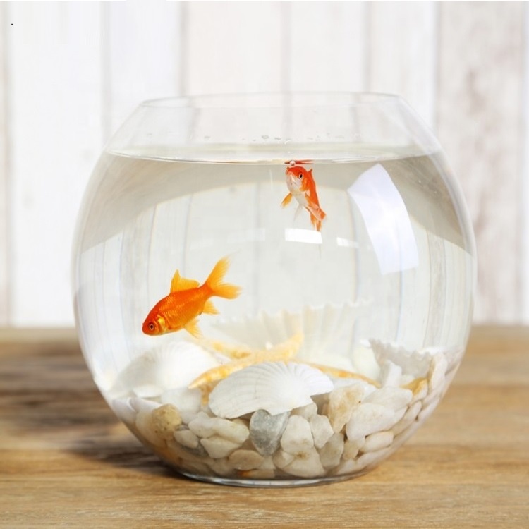 Wholesale clear round aquarium accessories   fish tank aquarium for home deco