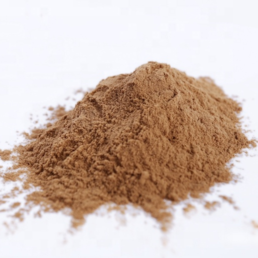 Natural Powder Shiitake Mushroom Extract shiitake powder