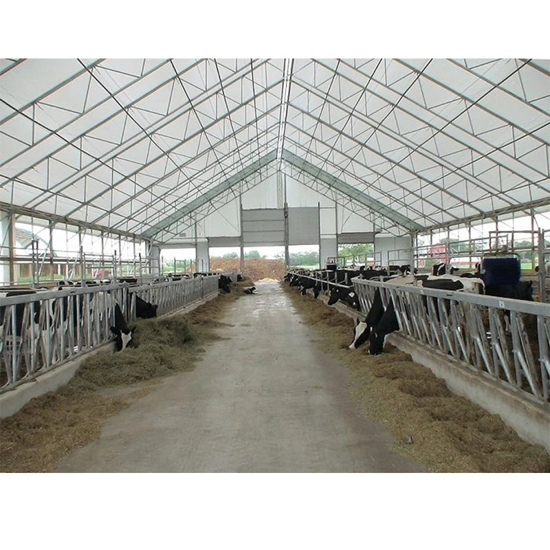Prefabricated Dairy Cattle Farm Shed Cow Barns House Building Stable PVC Membrane Horse Shed Barn Steel Structure Cowshed