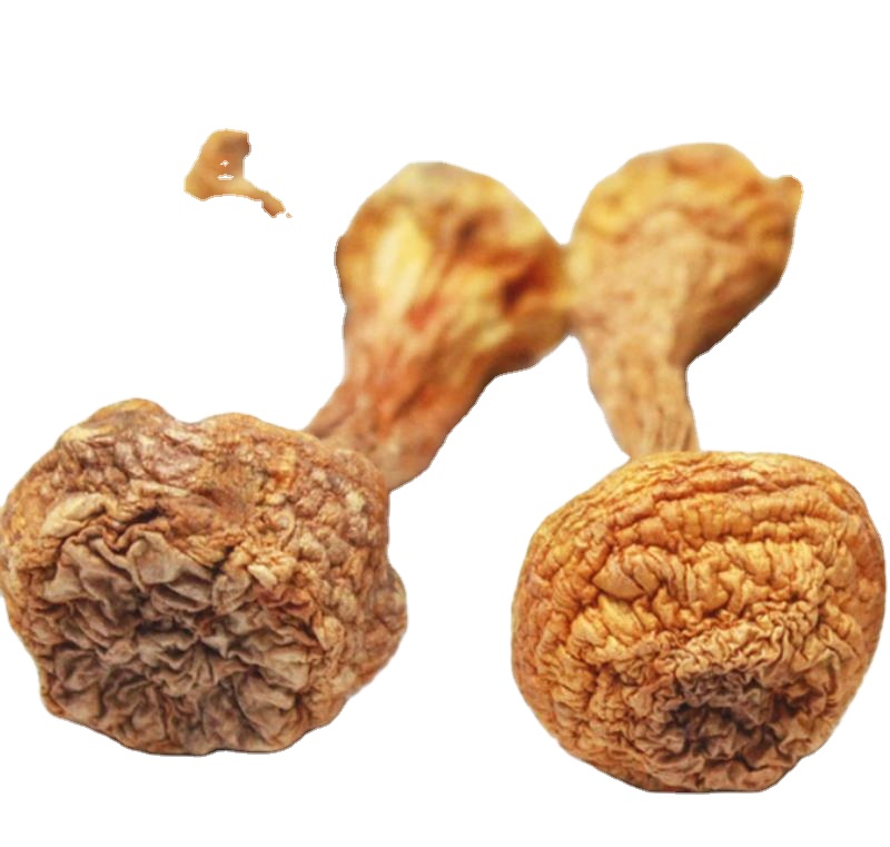 Superfood натуральный сухое цельное гриб агарик бразильский гриб himematsutake головка гриб-Сол